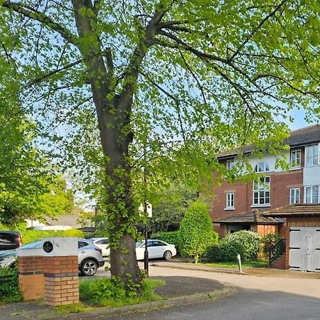 Lovely Flat Close To Shepherd'S Bush Apartment ลอนดอน ภายนอก รูปภาพ
